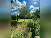 Ma-Cabane - Vente Maison Parigny-les-Vaux, 54 m²