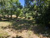 Ma-Cabane - Vente Maison Parisot, 166 m²