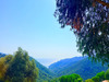 Ma-Cabane - Vente Maison PARTINELLO, 52 m²