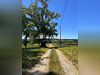 Ma-Cabane - Vente Maison Pellegrue, 450 m²