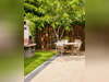 Ma-Cabane - Vente Maison PELLOUAILLES-LES-VIGNES, 142 m²