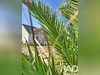 Ma-Cabane - Vente Maison Penmarch, 68 m²