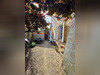 Ma-Cabane - Vente Maison PENOL, 220 m²
