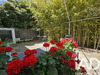 Ma-Cabane - Vente Maison Perpignan, 150 m²