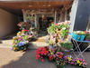 Ma-Cabane - Vente Maison PERROS GUIREC, 35 m²