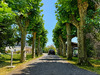 Ma-Cabane - Vente Maison PESSAC, 350 m²