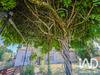 Ma-Cabane - Vente Maison Petit-Bersac, 148 m²