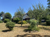 Ma-Cabane - Vente Maison Peyrelevade, 98 m²