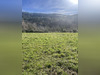 Ma-Cabane - Vente Maison PEYREMALE, 110 m²