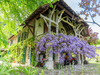 Ma-Cabane - Vente Maison PEYRIEU, 384 m²