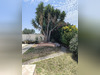 Ma-Cabane - Vente Maison Pia, 117 m²