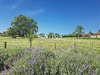 Ma-Cabane - Vente Maison Pierre-de-Bresse, 165 m²