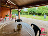 Ma-Cabane - Vente Maison PIERRE DE BRESSE, 82 m²