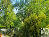 Ma-Cabane - Vente Maison Pinsac, 158 m²