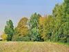 Ma-Cabane - Vente Maison Pipriac, 135 m²