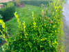Ma-Cabane - Vente Maison PLABENNEC, 100 m²