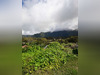 Ma-Cabane - Vente Maison Plaine-des-Palmistes, 65 m²