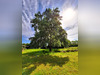 Ma-Cabane - Vente Maison PLAISANCE, 239 m²