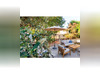 Ma-Cabane - Vente Maison Plats, 194 m²