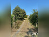 Ma-Cabane - Vente Maison Plouézec, 44 m²