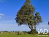 Ma-Cabane - Vente Maison Plovan, 163 m²