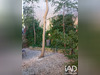 Ma-Cabane - Vente Maison Poilhes, 220 m²