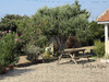 Ma-Cabane - Vente Maison Pondaurat, 195 m²