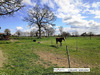 Ma-Cabane - Vente Maison PONTORSON, 150 m²