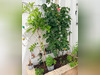 Ma-Cabane - Vente Maison PORNIC, 72 m²