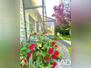 Ma-Cabane - Vente Maison Pouligny-Saint-Pierre, 156 m²