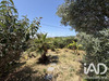Ma-Cabane - Vente Maison Poussan, 171 m²