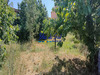 Ma-Cabane - Vente Maison Prades, 219 m²