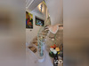 Ma-Cabane - Vente Maison Pruniers-en-Sologne, 235 m²