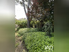 Ma-Cabane - Vente Maison Puisseguin, 95 m²