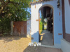 Ma-Cabane - Vente Maison Reichstett, 170 m²