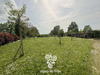 Ma-Cabane - Vente Maison REMOUILLE, 140 m²