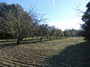 Ma-Cabane - Vente Maison RICHERENCHES, 100 m²