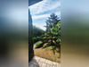 Ma-Cabane - Vente Maison RICHERENCHES, 208 m²