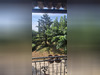 Ma-Cabane - Vente Maison RICHERENCHES, 208 m²