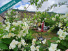Ma-Cabane - Vente Maison Riez, 135 m²