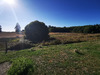 Ma-Cabane - Vente Maison RILHAC-LASTOURS, 102 m²