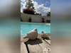 Ma-Cabane - Vente Maison Riorges, 231 m²