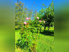 Ma-Cabane - Vente Maison RISCLE, 122 m²