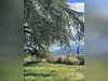 Ma-Cabane - Vente Maison Rives, 154 m²