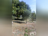 Ma-Cabane - Vente Maison Rocamadour, 145 m²