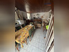 Ma-Cabane - Vente Maison Rochechouart, 80 m²