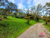 Ma-Cabane - Vente Maison ROQUEBRUNE SUR ARGENS, 130 m²