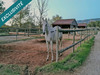 Ma-Cabane - Vente Maison Roquebrune-sur-Argens, 200 m²