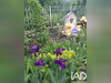 Ma-Cabane - Vente Maison Rosans, 105 m²
