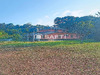 Ma-Cabane - Vente Maison Roura, 186 m²